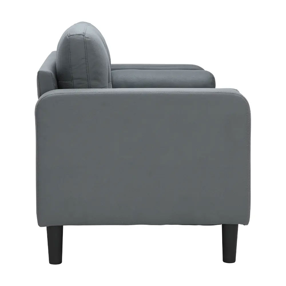 66540 RAFFY FABRIC SOFA 2/S GY