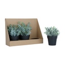 61107 SHERON-B PLANT IN POT 3PCS/SET GN       