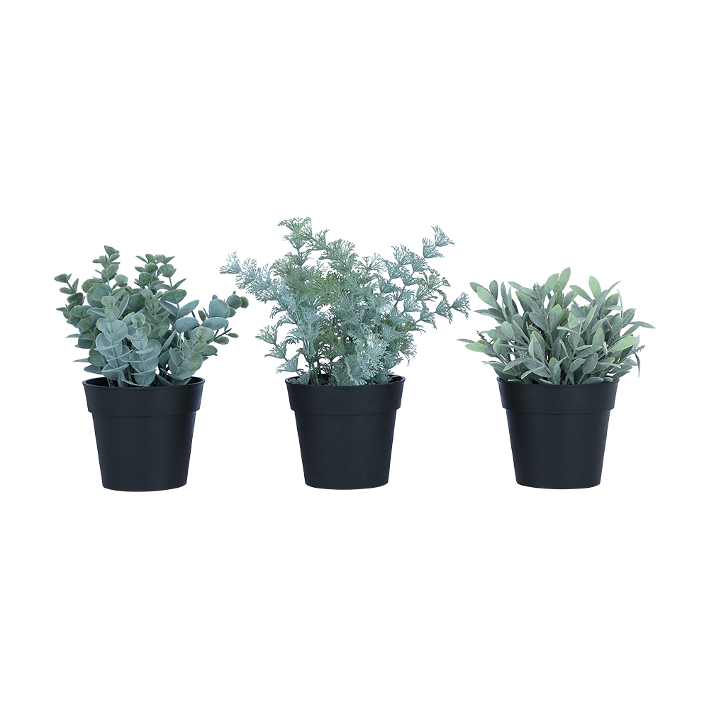 61107 SHERON-B PLANT IN POT 3PCS/SET GN       