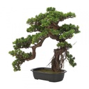 42373 BOSINA BONSAI IN POT 60X33X65CM. GN