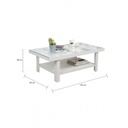 42326 DECOR-P COFFEE TABLE WT 105X60X38CM