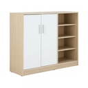 42492 MINNIO 2 SHOE CABINET 100CM 2DR WTO 100X39X80CM