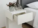 41859-1.webp