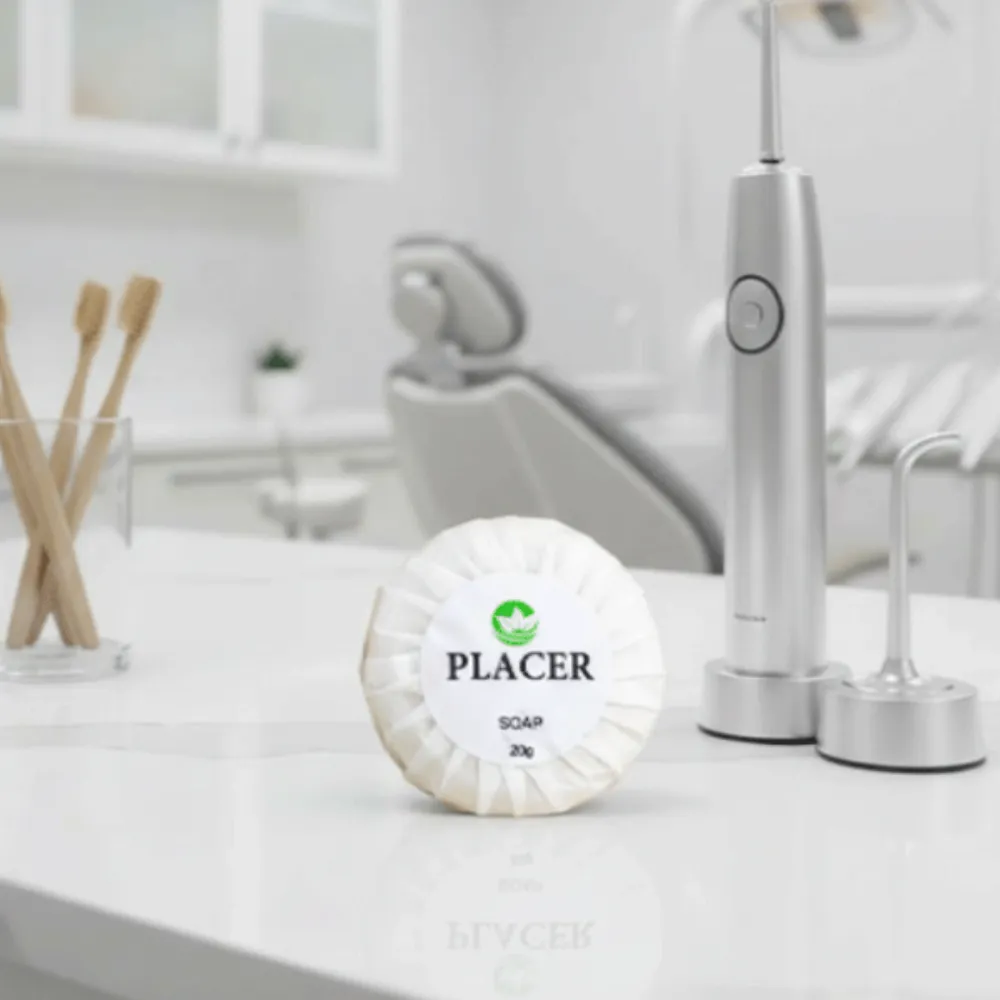 [34111] 34111 SOAP 20GM - PLACER 250X500 CTN