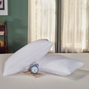 34698 DUROFLEX PILLOW BLISS 27"X17"