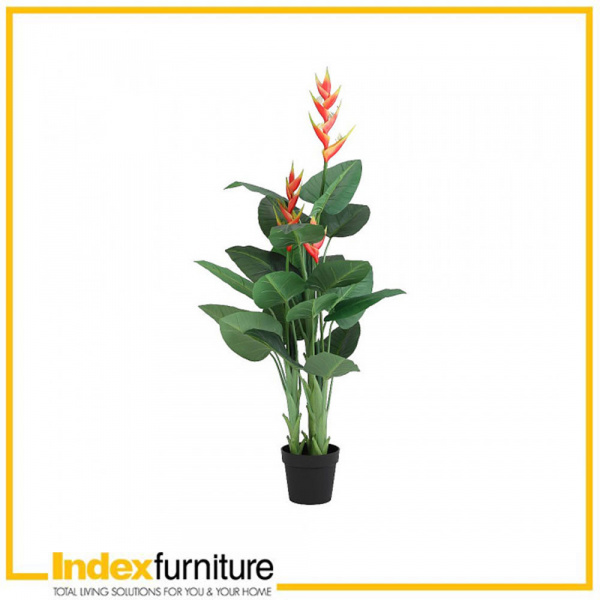 42382 HENA HELICONIA TREE W/POT 70X70X140 CM GN