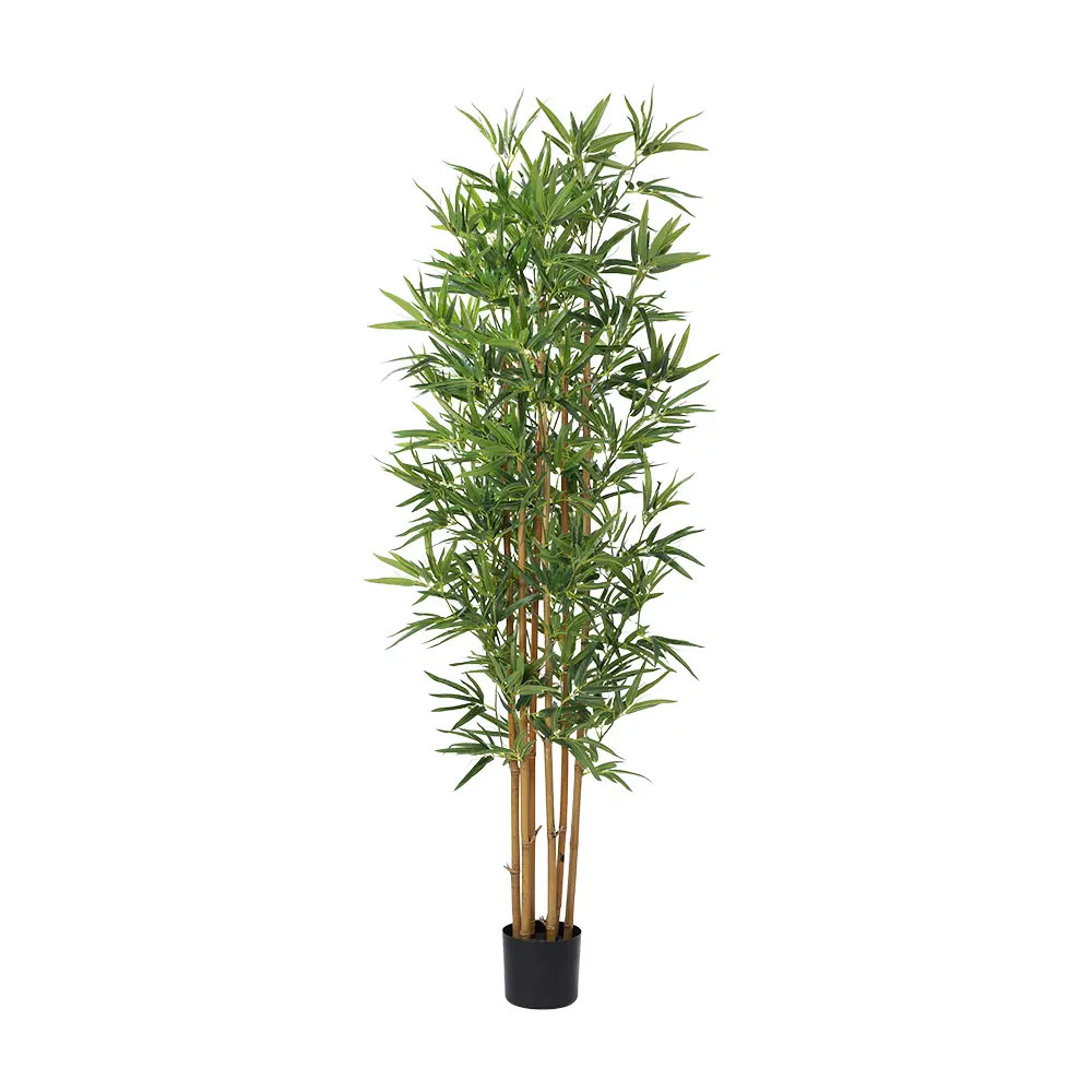 61109 BAMBO BAMBOO TREE W/POT H180CM GN/BN    