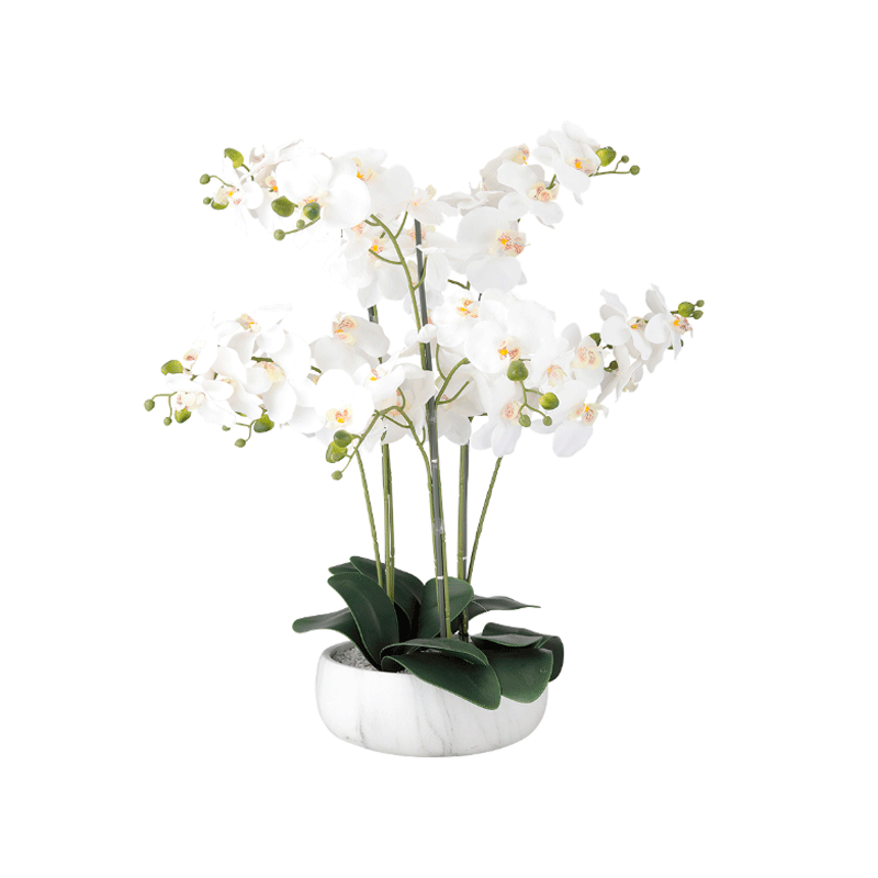 [61110] 61110 FALEN ORCHID IN POT H65CM WT            