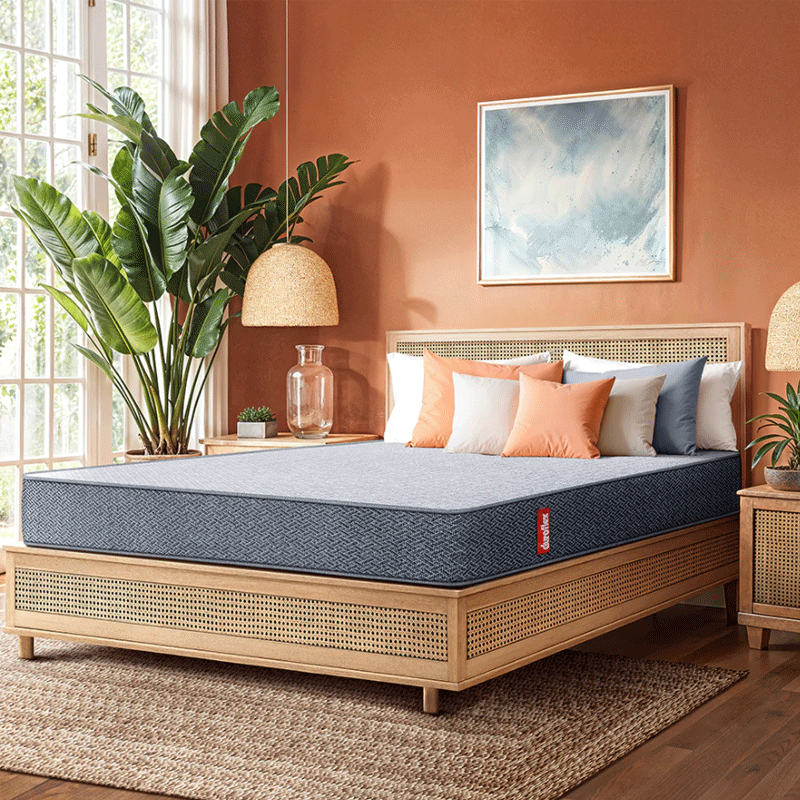 61229 DUROFLEX MATTRESS LIVEIN 2 IN 1 DUAL SIDED 75"X36"X6" 