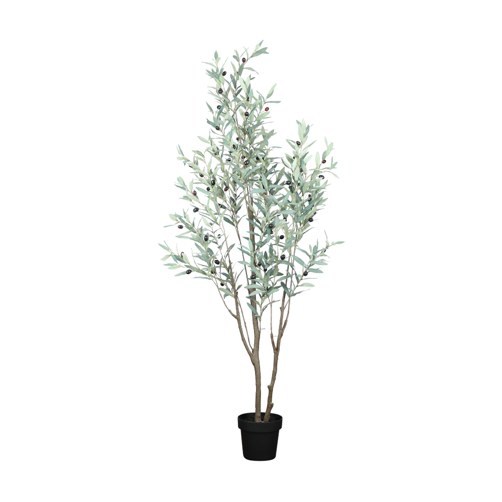 66564 OLIVE OLIVE TREE IN POT 180CM GN/BK POLYESTER+PE+IRON 