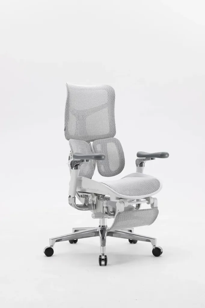 Ergonomic Chair
