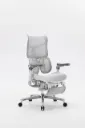 Ergonomic Chair