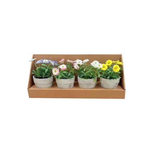 [61108] 61108 PINNO PLANT IN POT 4PCS/SET MTC         