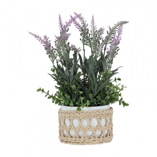 [61106] MUMU LAVENDER IN POT+RATTAN VL/NT       